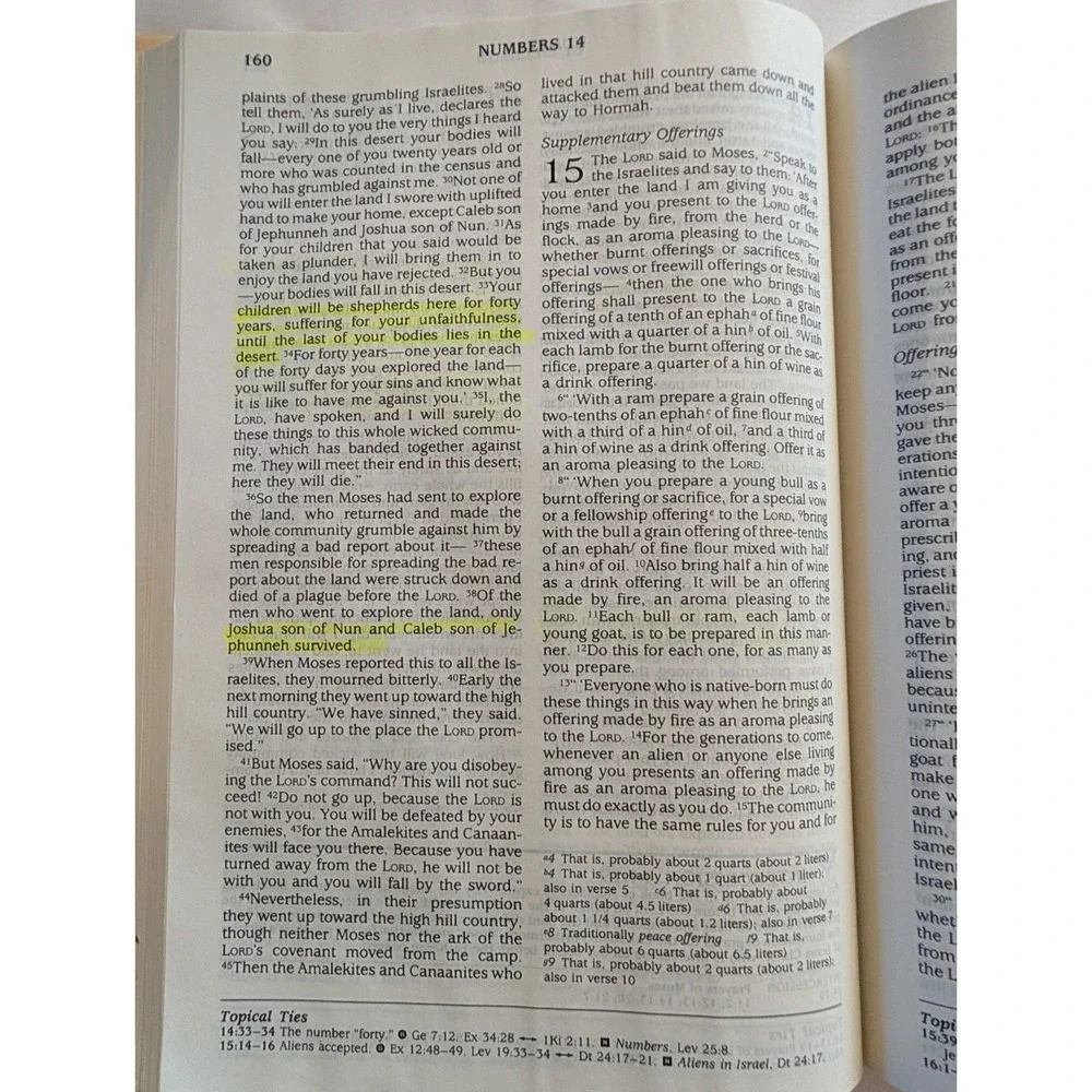 NIV TOPICAL STUDY BIBLE 1989 - Hardback - Clean No Marks - 1989
